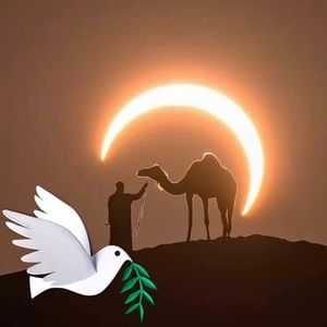 Meet your Posher, Valerie